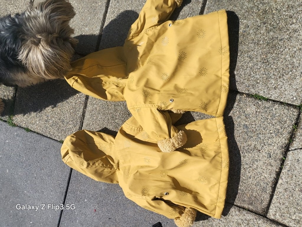 Diverse hondenjasjes en leuke hondenkleding te koop!, Dieren en Toebehoren, Ophalen