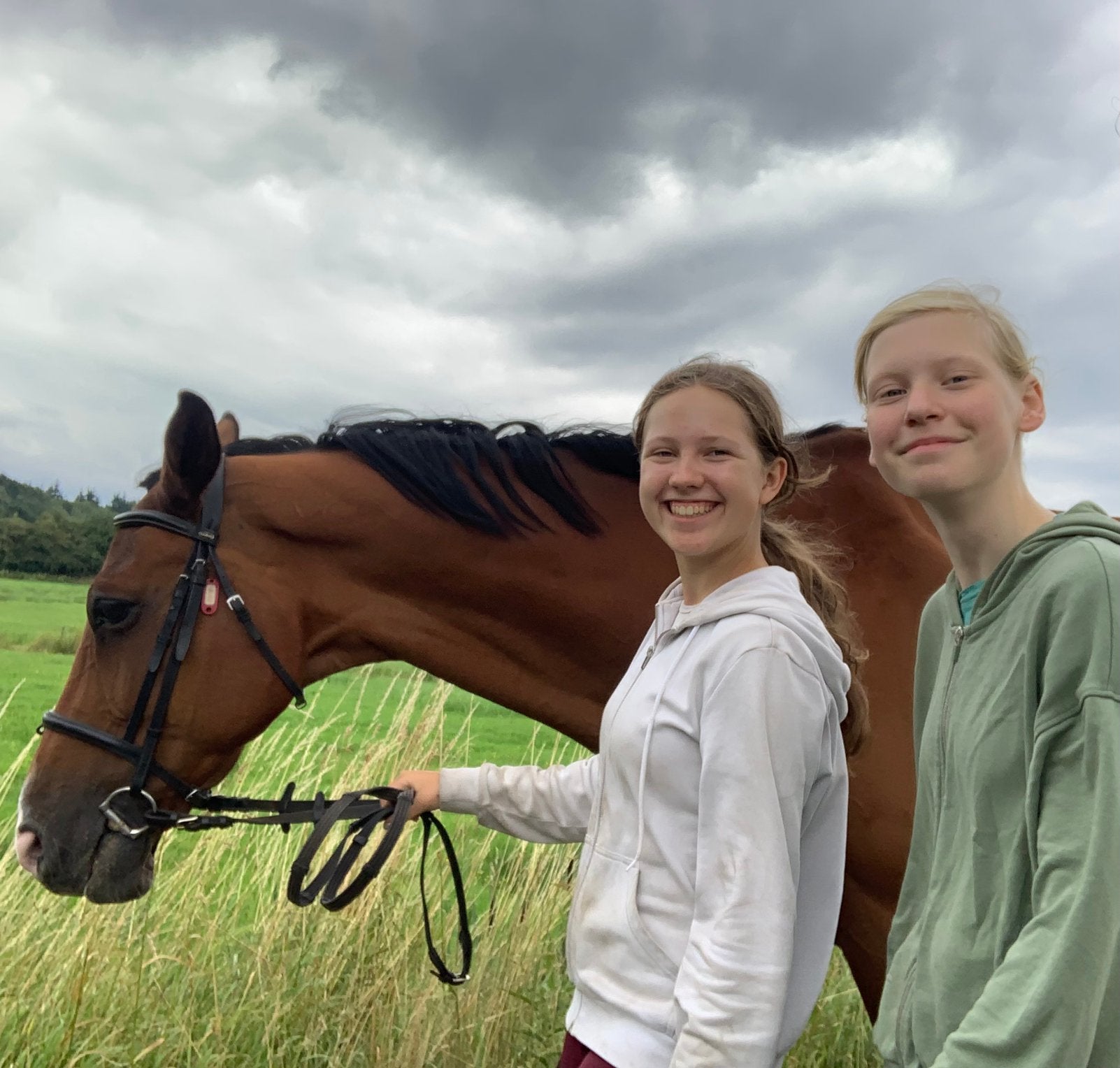 Twee enthousiaste ervaren meiden zoeken leuke verzorgpony, Dieren en Toebehoren