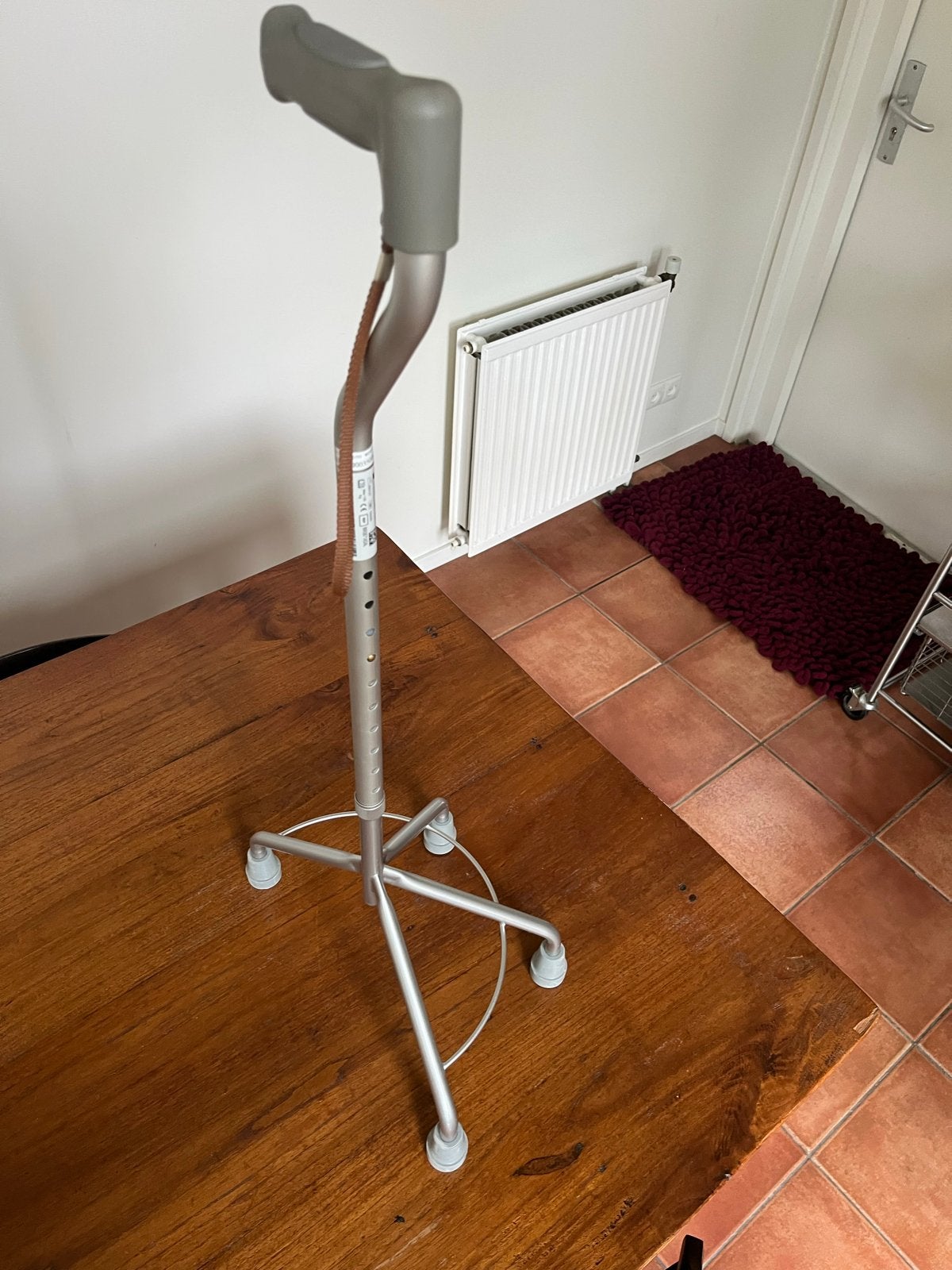 Medische wandelstok Nieuw, Ophalen, Nieuw