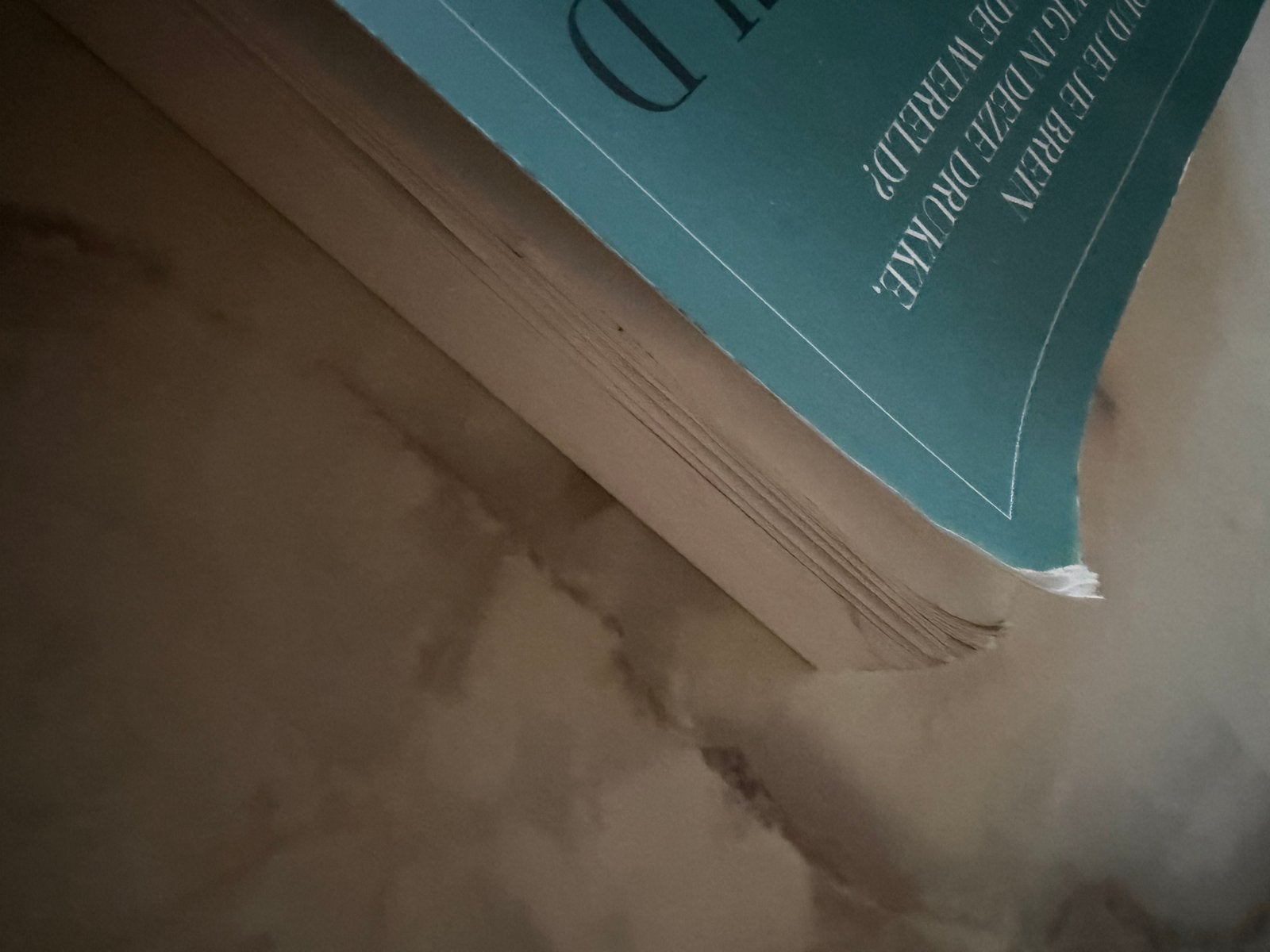 Overprikkeld Brein - Charlotte Labee, Ophalen of Verzenden, Gelezen, Gezondheid en Conditie