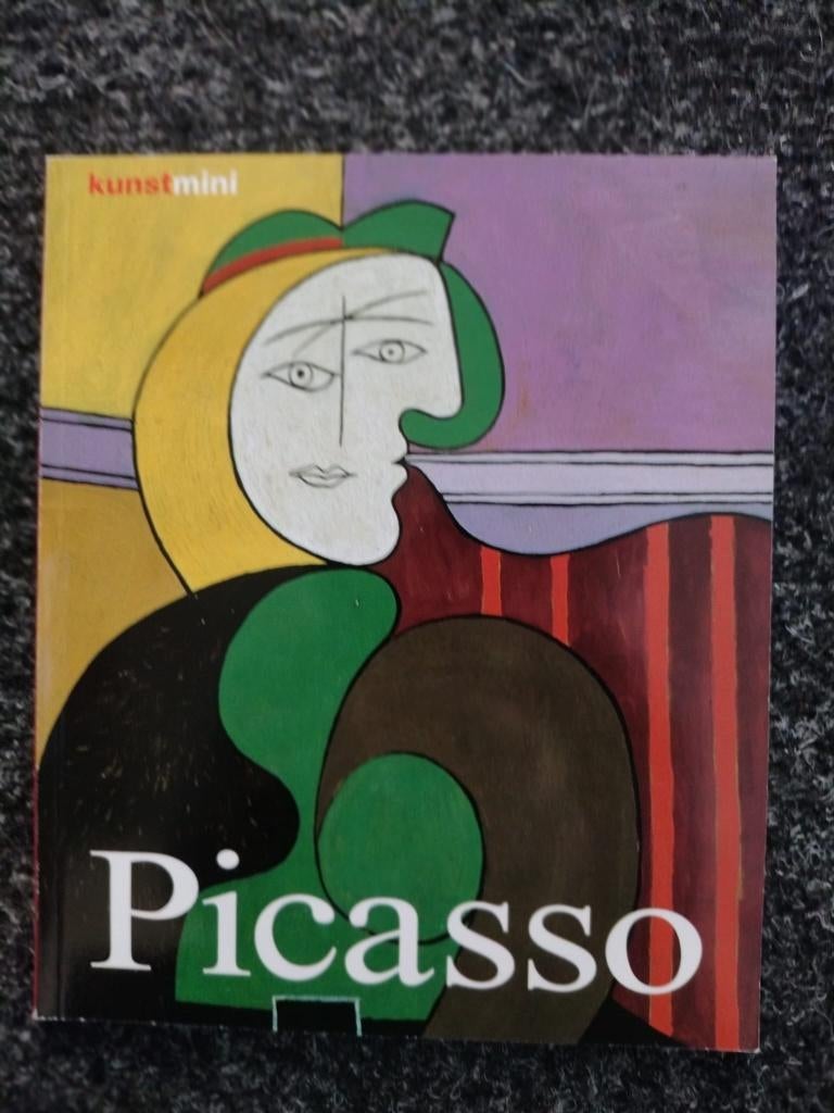Boek Picasso, Ophalen of Verzenden, Zo goed als nieuw, Schilder- en Tekenkunst