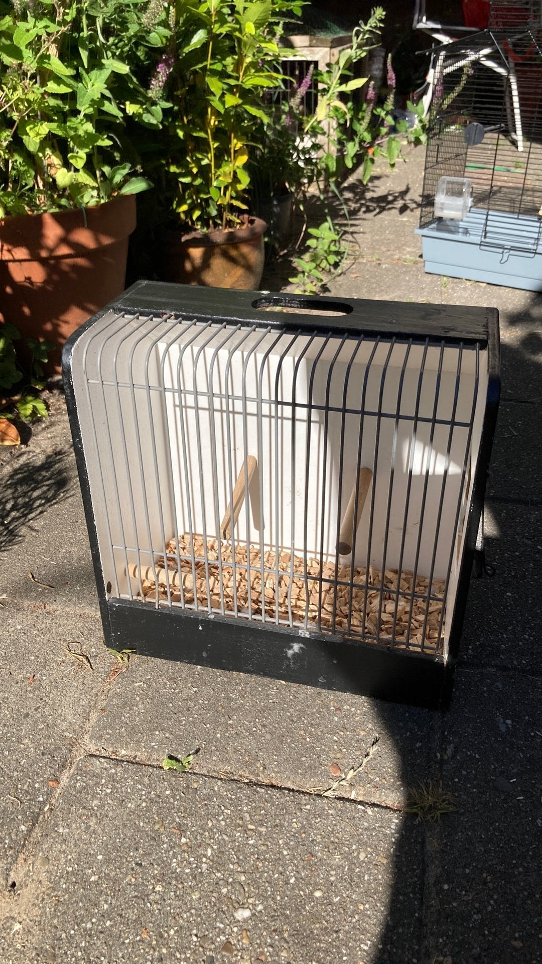 Vogel vervoer kooi, Ophalen, Zo goed als nieuw, Hout, Vogelkooi