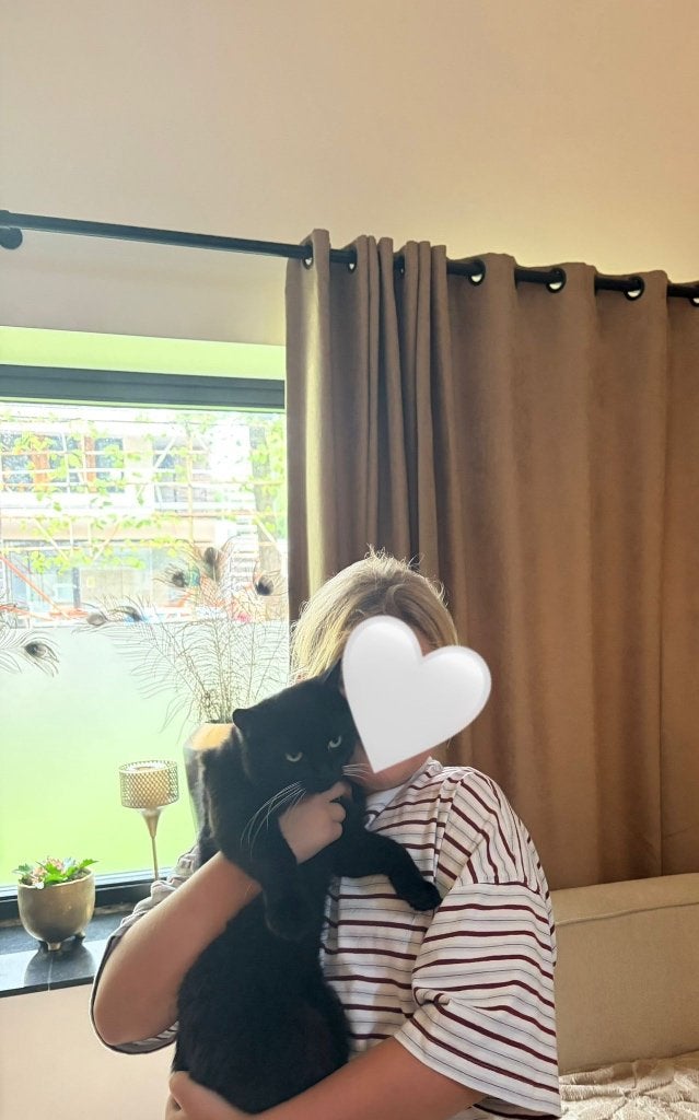 Lieve Fay zoekt een nieuw thuis, Poes, Gechipt, 0 tot 2 jaar