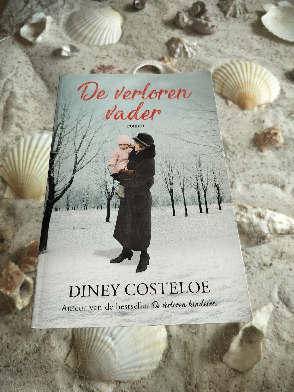 Diney Costeloe - De verloren vader, Ophalen of Verzenden, Gelezen