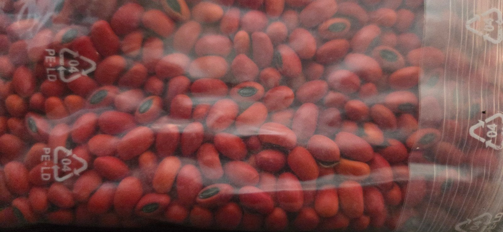 Erythrina caffra koraalboom zaden., Overige soorten, Volle zon, Vaste plant, Ophalen of Verzenden