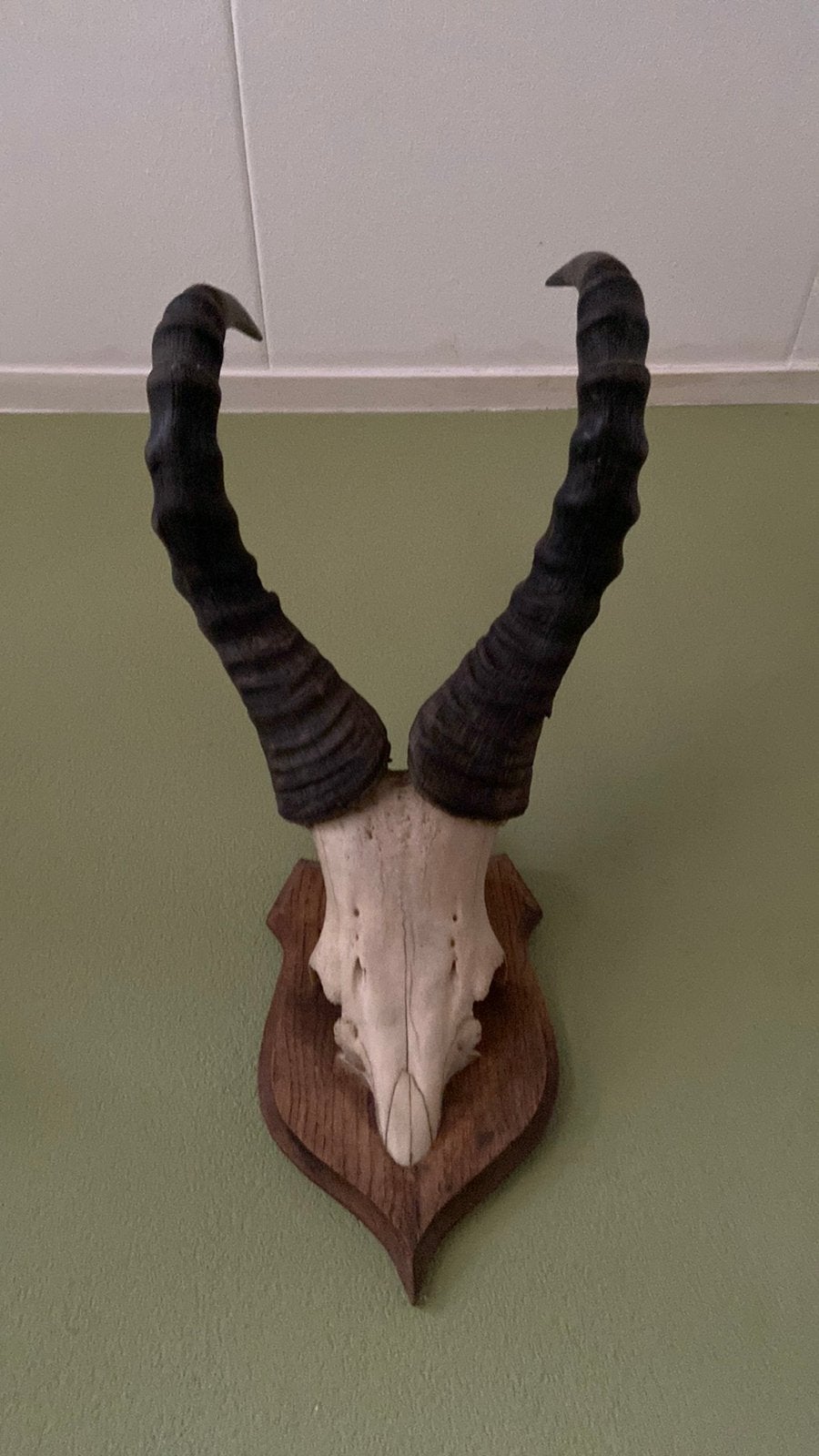 Gewei hartebeest, Ophalen, Zo goed als nieuw