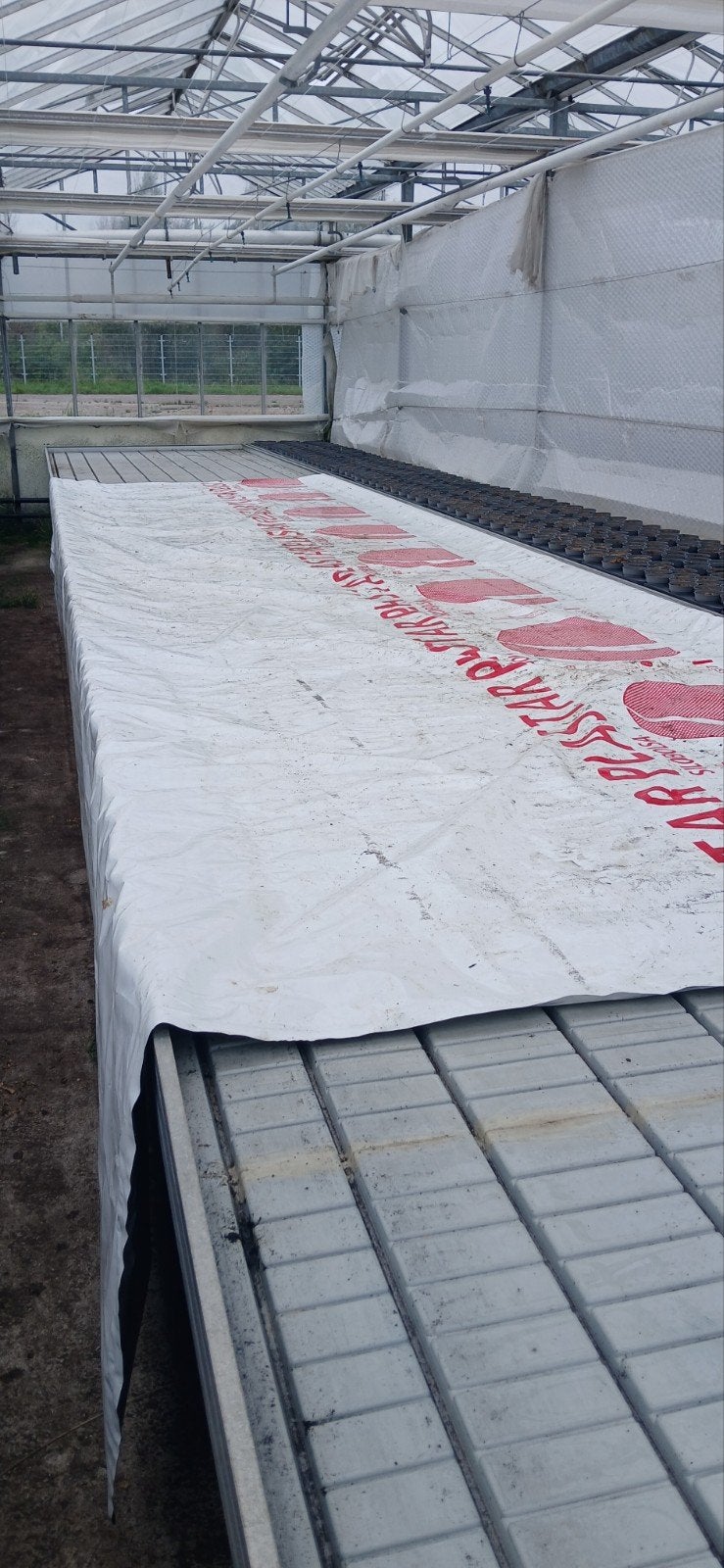 Cocoon Opslagsysteem - Tijdelijke opslag in uw tuin