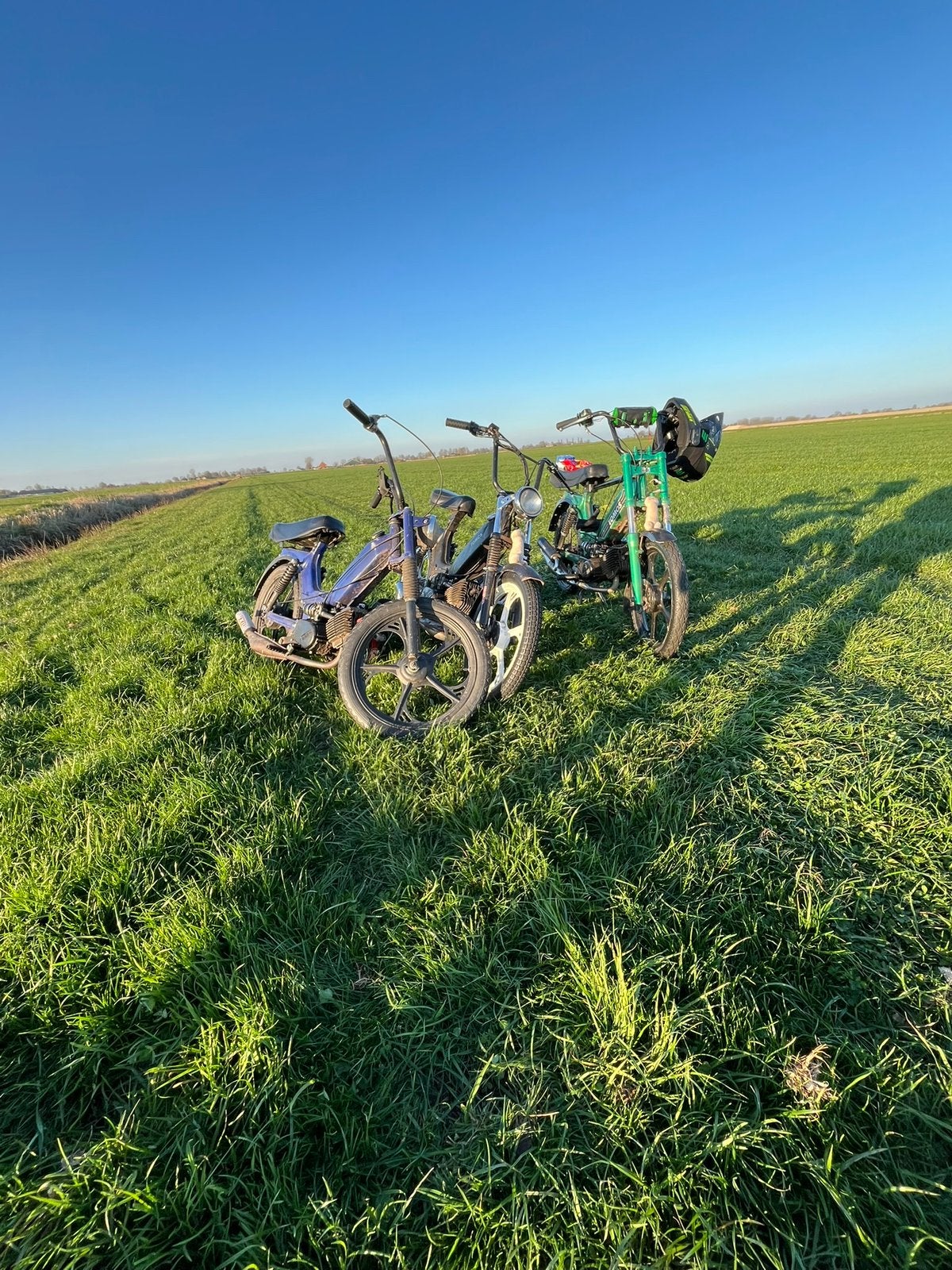 Tomos 65cc race, Fietsen en Brommers, Brommers | Tomos, Gebruikt, Standard, Ophalen