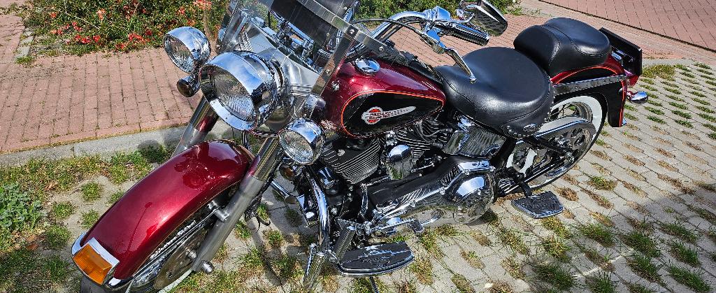 Harley davidson, Motoren, Cardan-aandrijving, 2 cilinders, Occasion, Particulier