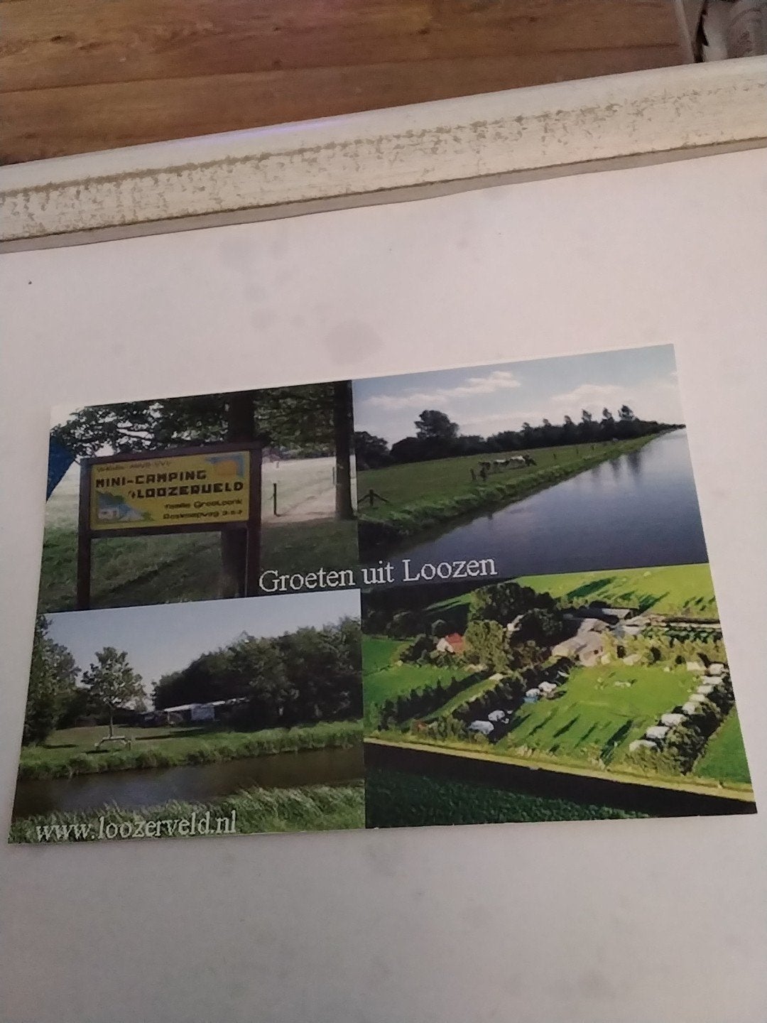 Ansichtkaart Groeten uit Loozen - Mini-camping Loozerveld, Ophalen of Verzenden, 1960 tot 1980