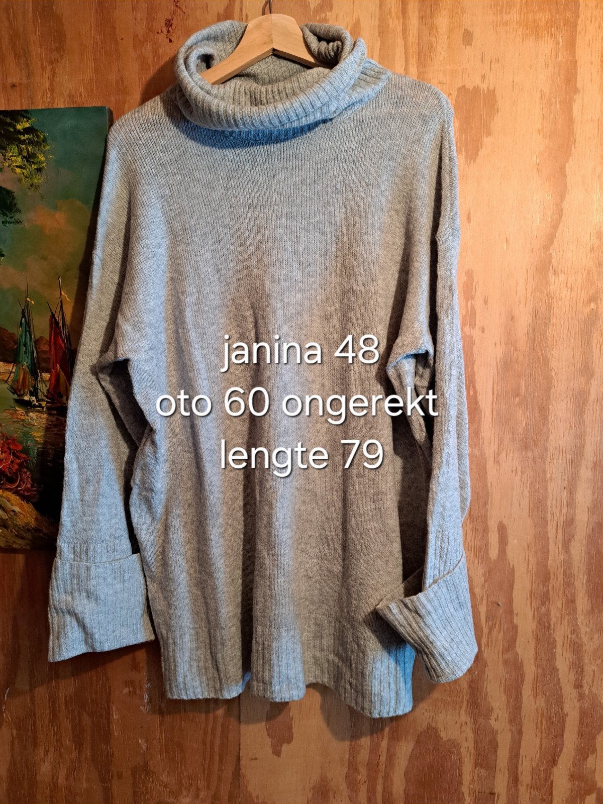 leuke grijze coltrui maat 48, Kleding | Dames, Trui of Vest, Ophalen of Verzenden, Zo goed als nieuw, Grijs