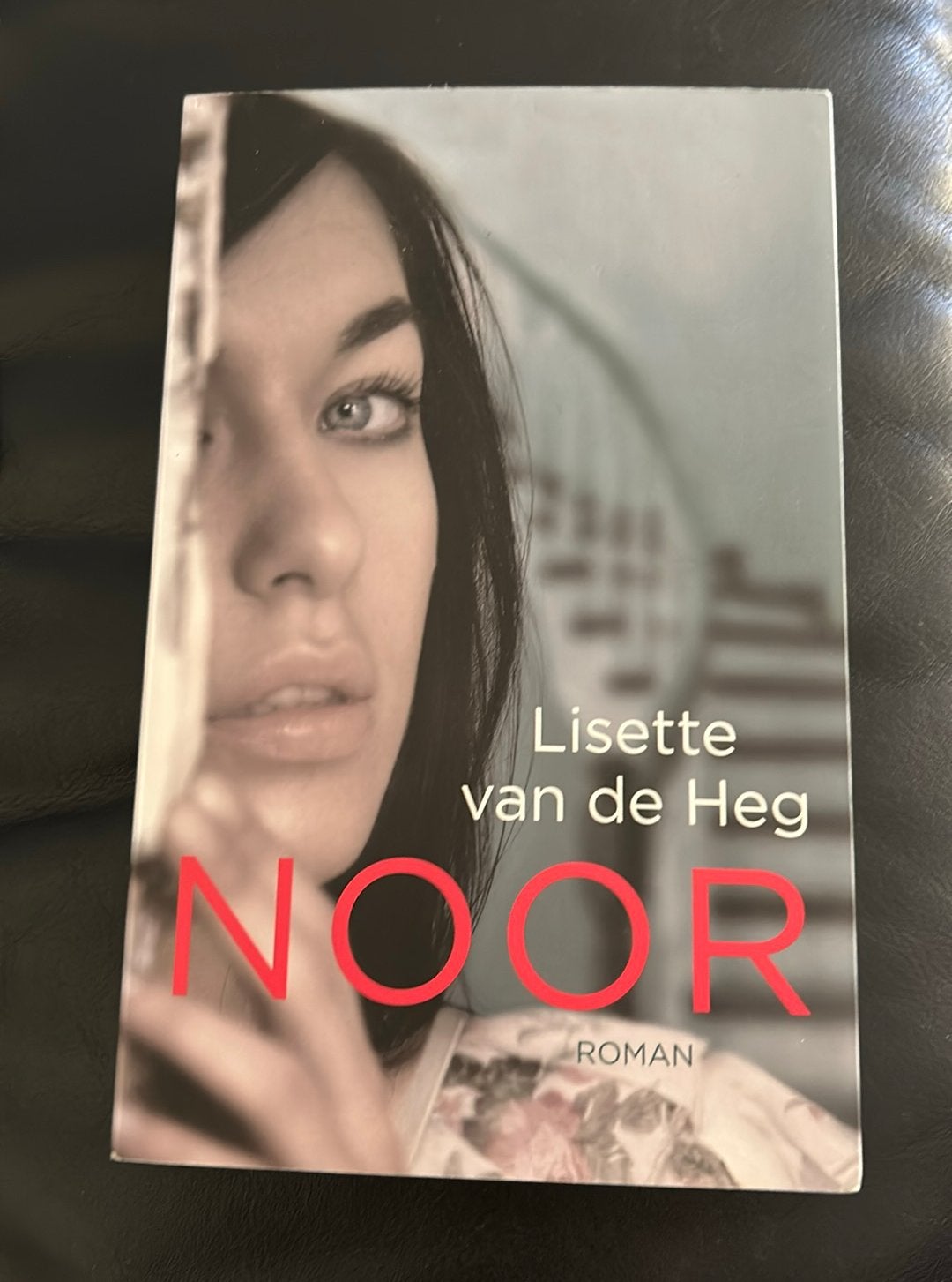 Lisette van de Heg - Noor, Gelezen, Ophalen of Verzenden, Lisette van de Heg, Nederland