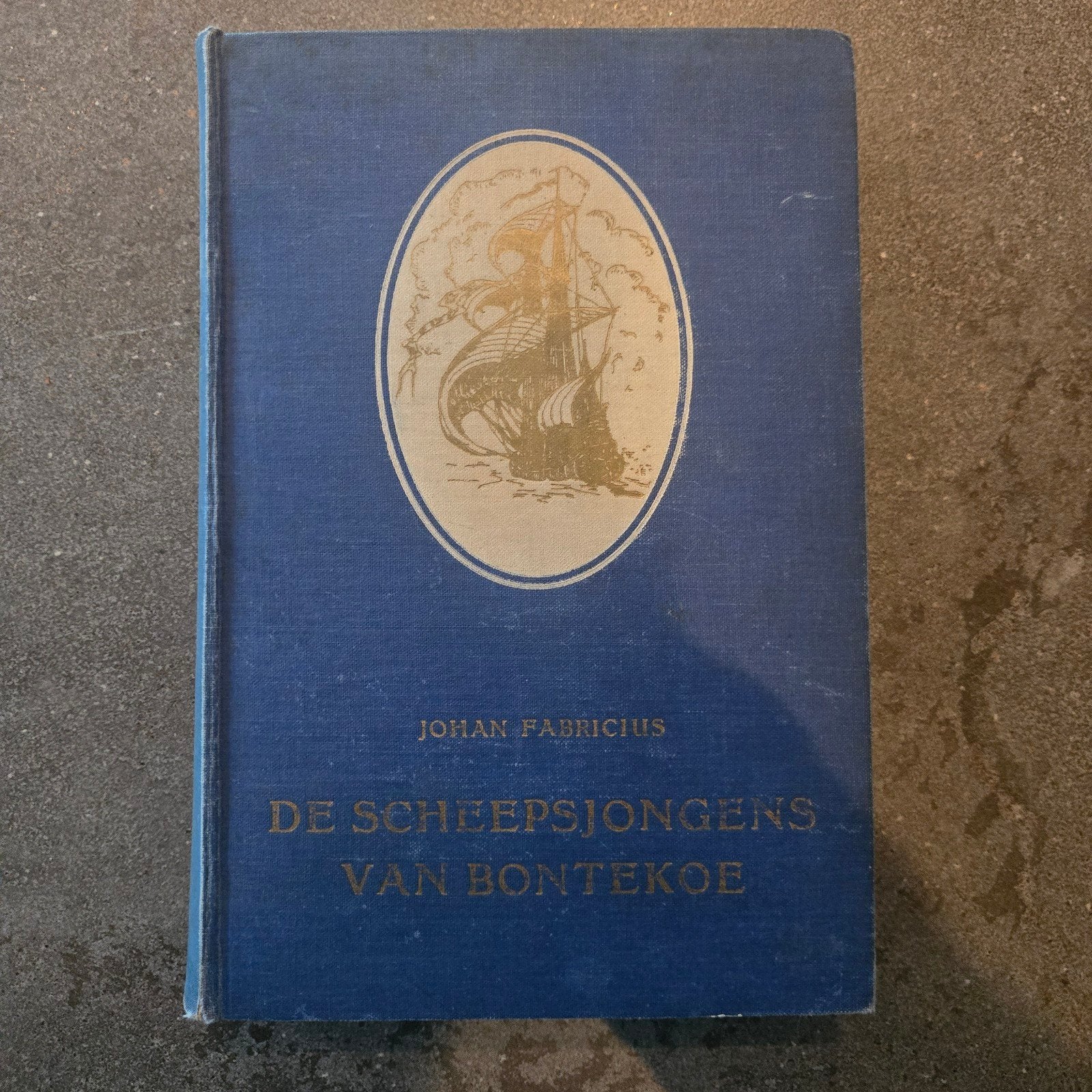 De Scheepsjongens van Bontekoe - Johan Fabricius (1951), Boeken, Ophalen of Verzenden, Gelezen