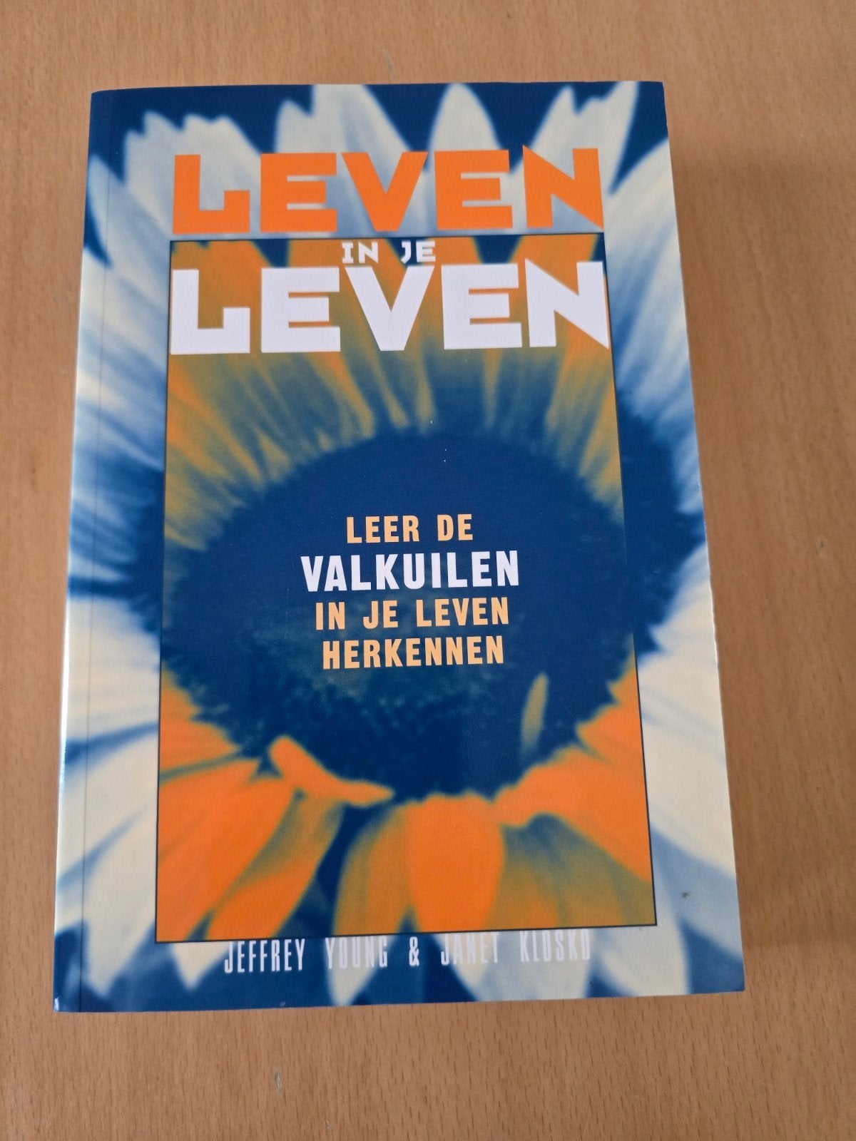 Leven in je Leven -  Leer de valkuilen in je leven herkennen, Ophalen of Verzenden, Zo goed als nieuw