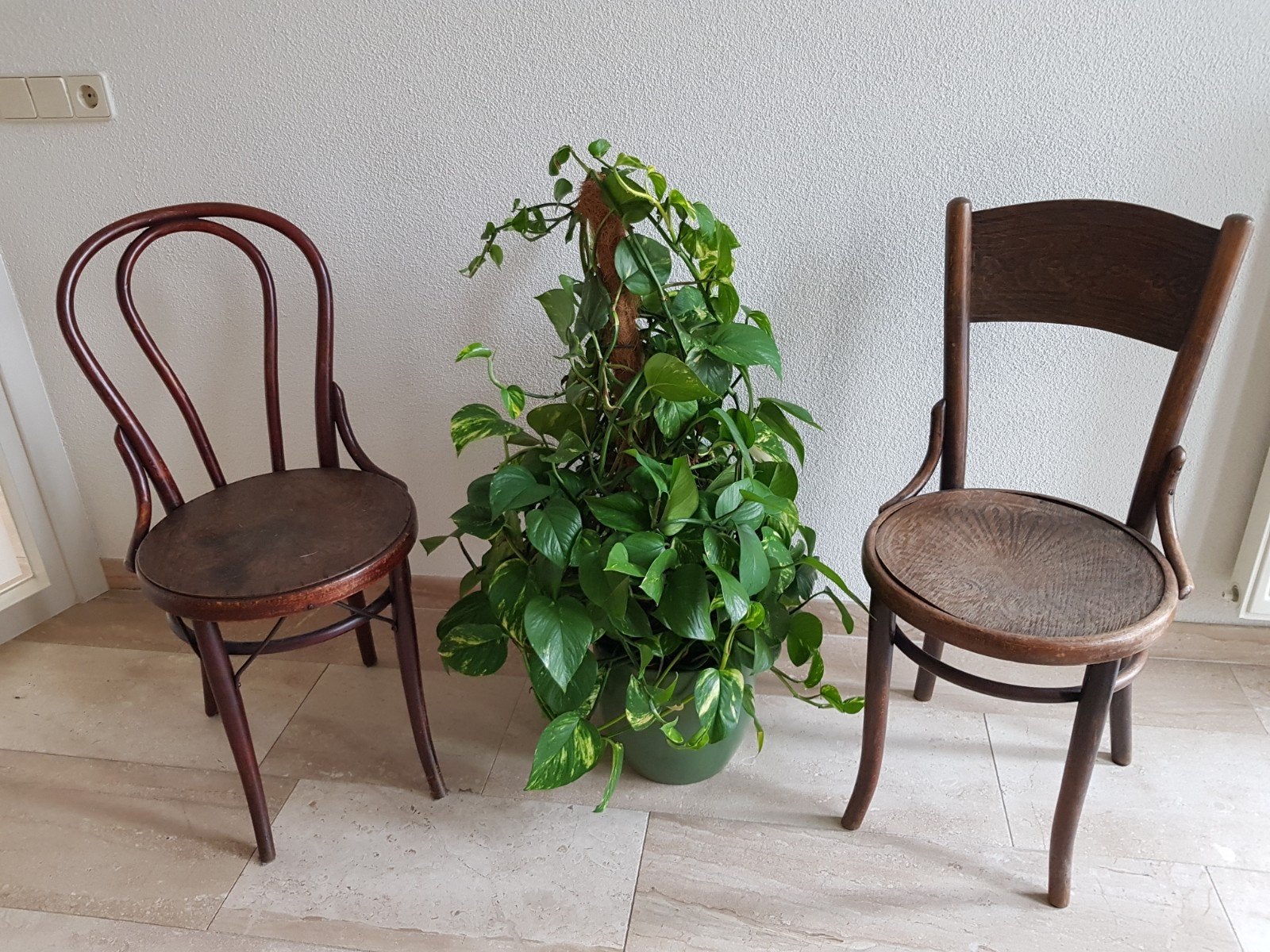 Vintage Thonet Stijl Barstoelen - Authentiek & Stijlvol, Ophalen