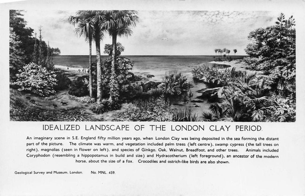 702-324-051 Idealized Landscape Of The London Clay Period, Verzamelen, Ansichtkaarten | Buitenland, Verzenden, Voor 1920, Engeland