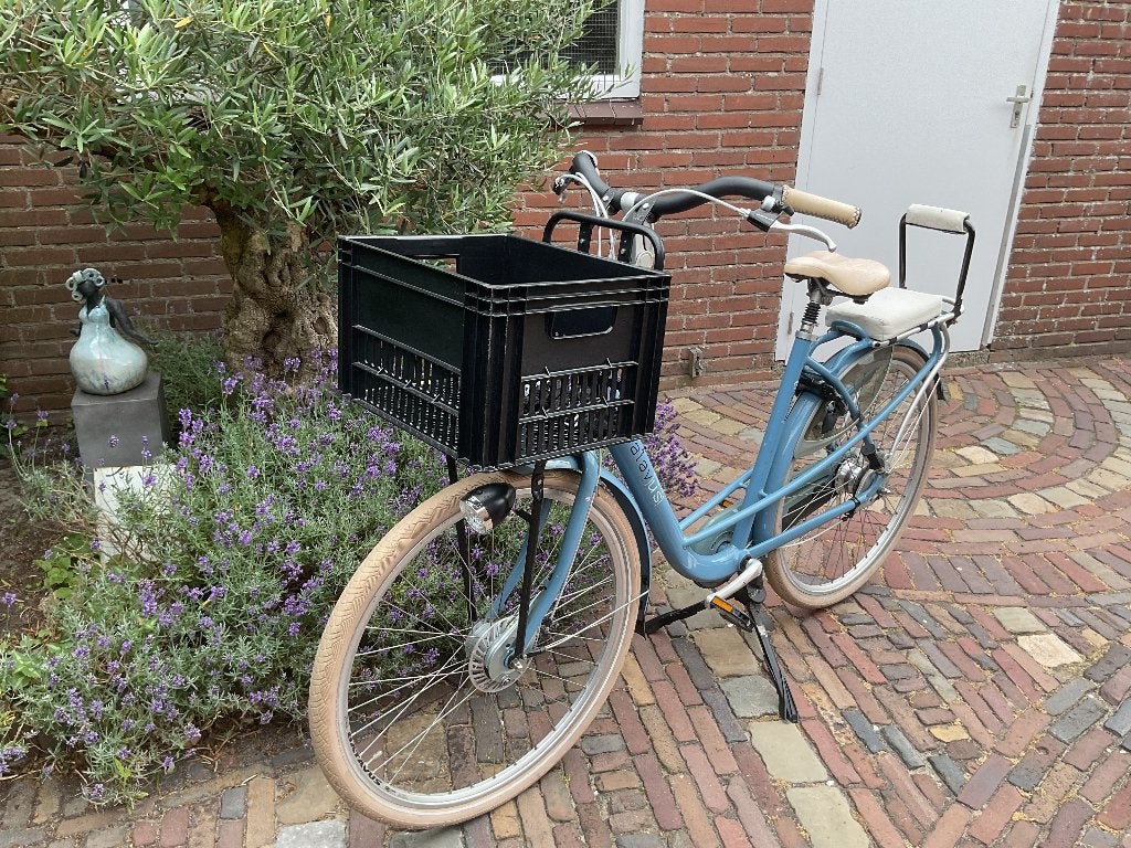 Batavus mambo damesfiets, Fietsen en Brommers, Fietsen | Dames | Damesfietsen, Ophalen, Velgrem, Batavus, Versnellingen