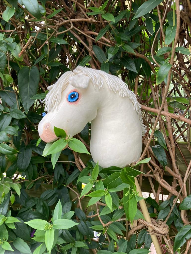 Super leuke hobbyhorse met maanogen!, Hobby en Vrije tijd, Overige Hobby en Vrije tijd, Ophalen of Verzenden