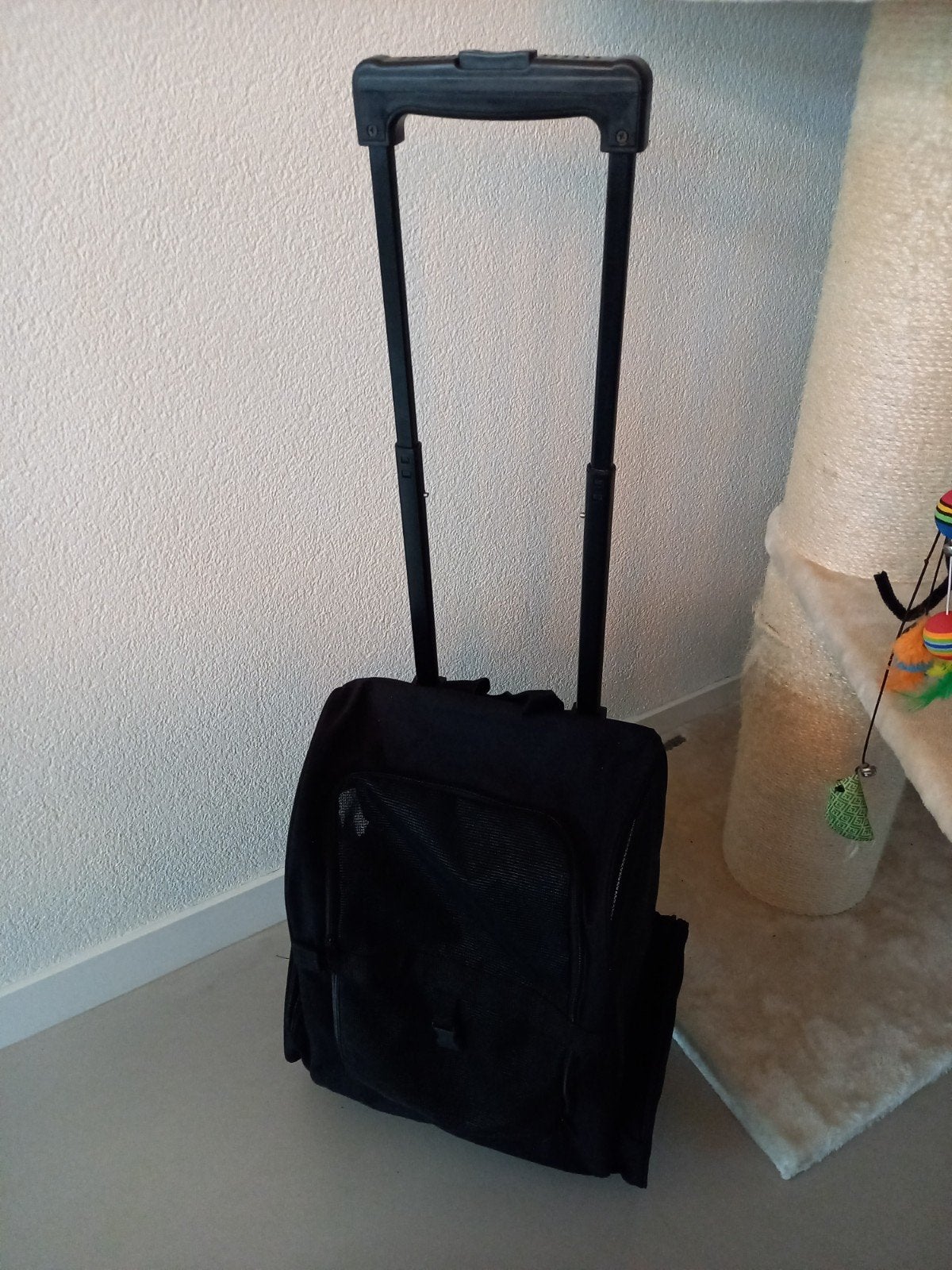 Te koop: katten trolley tevens als rugzak vervoerbaar €25,-, Ophalen of Verzenden