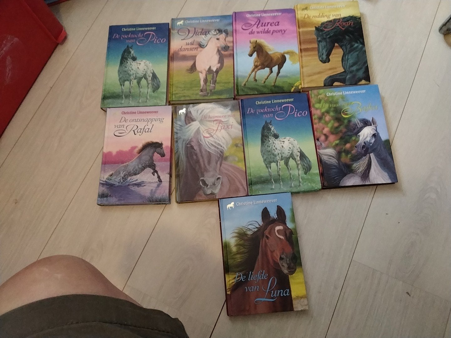 Christine linneweever 9 +  nu € 5  per stuk zie omschrijving, Ophalen of Verzenden, Zo goed als nieuw, Fictie algemeen