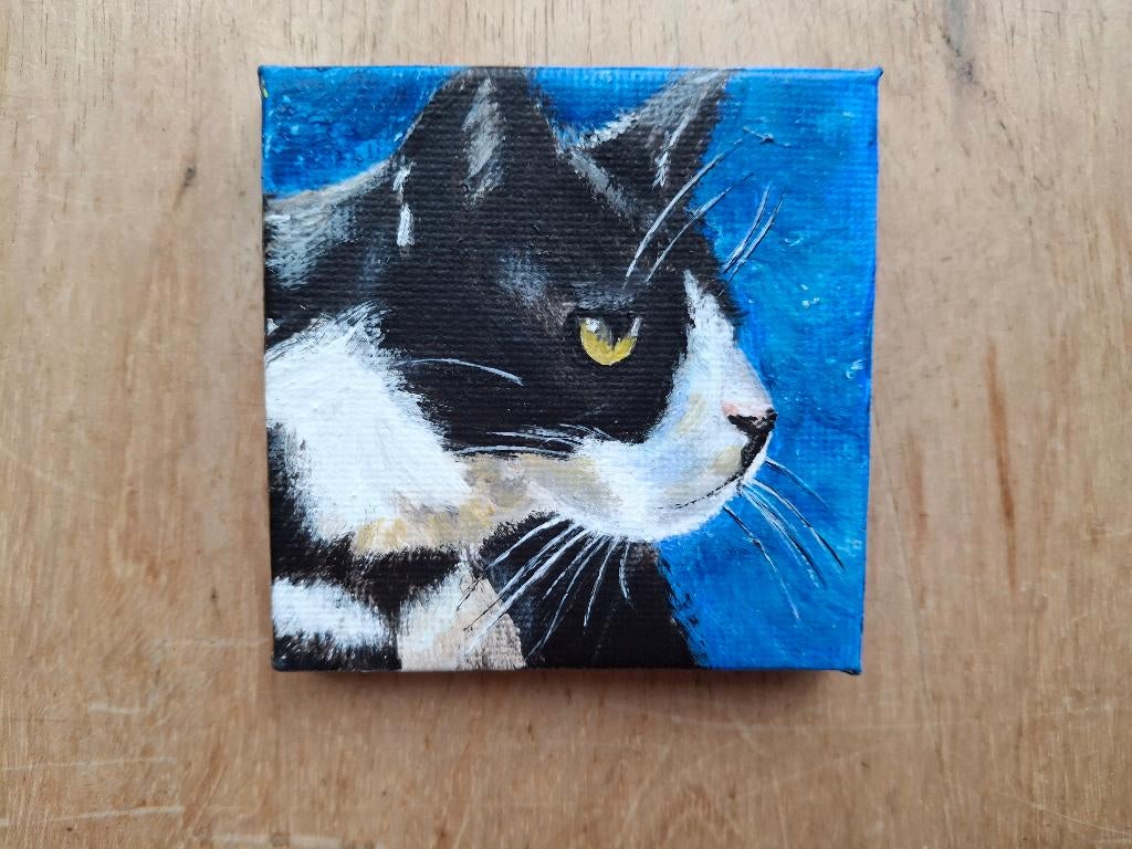 mini schilderijtje kat (B), 7x7 cm, Ophalen, Minder dan 50 cm, Oorspronkelijke maker, Nieuw
