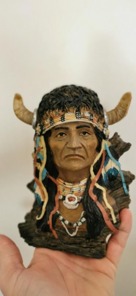 Indianenbeeld/ Indianenhoofd, Ophalen of Verzenden, Zo goed als nieuw