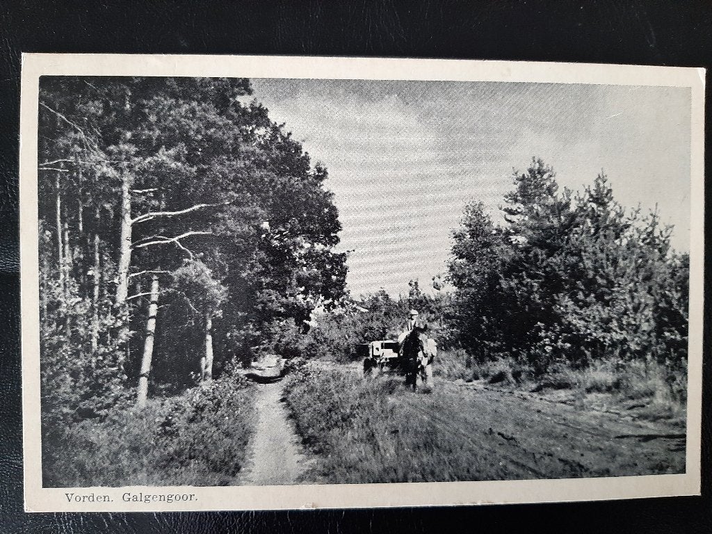 Vorden, Galgengoor, gelopen, paard en wagen, stempel Vorden, Verzenden, 1960 tot 1980, Gelopen, Natuur