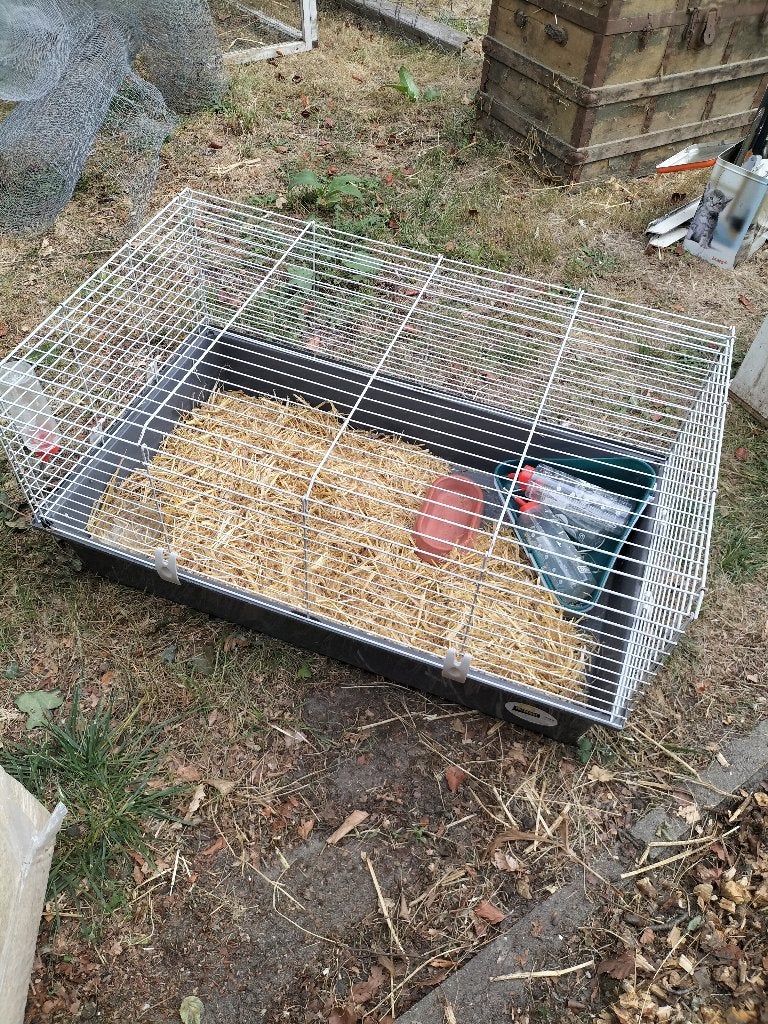 knaagdieren / konijnenhok, Ophalen, Gebruikt, Overige typen