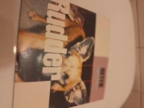 Rudder CD Single, Cd's en Dvd's, Cd Singles, Ophalen of Verzenden, Gebruikt, Pop