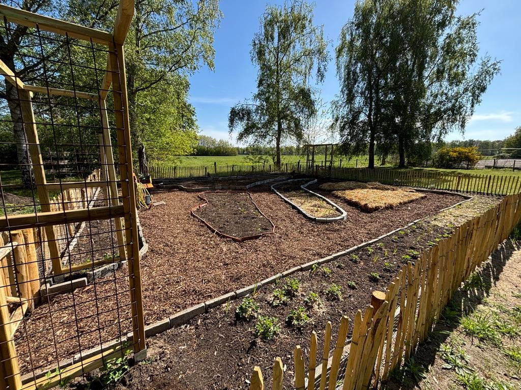 Tuinhulp gezocht voor ca 1 dag per 2 weken, Tuinonderhoud of Snoeiwerk