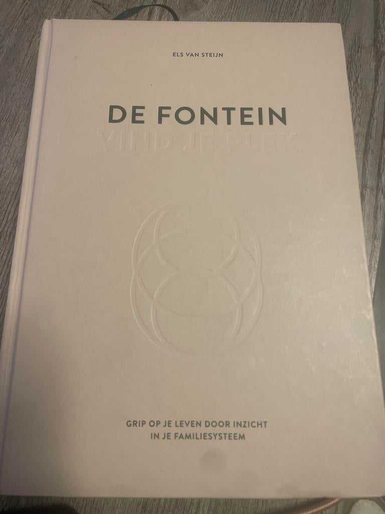 De Fontein - Vind je plek - Els van Steijn, Boeken, Ophalen of Verzenden, Zo goed als nieuw