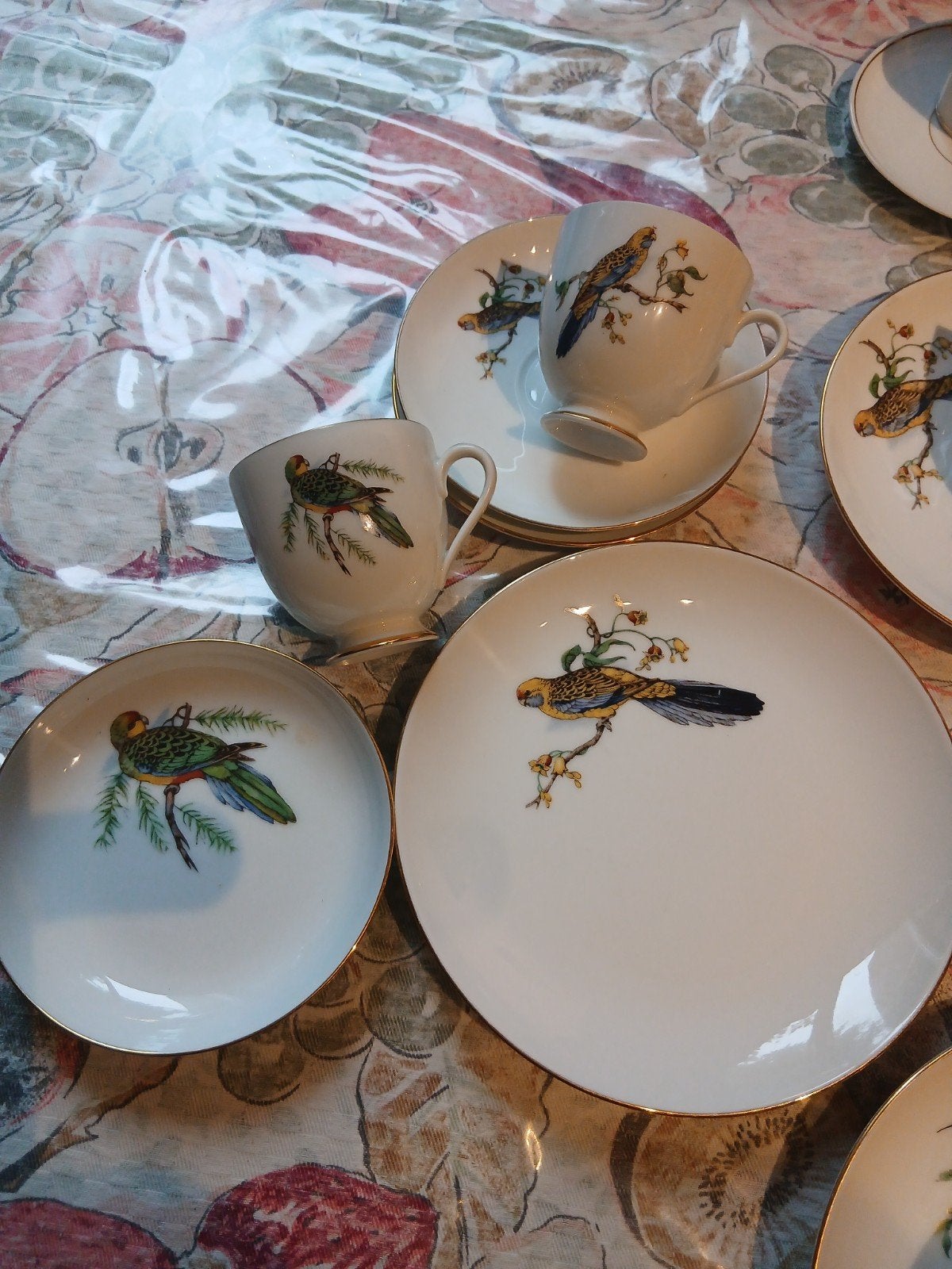 Jaren 50 a 60 kop en schotel met kleurrijke vogels., Ophalen of Verzenden