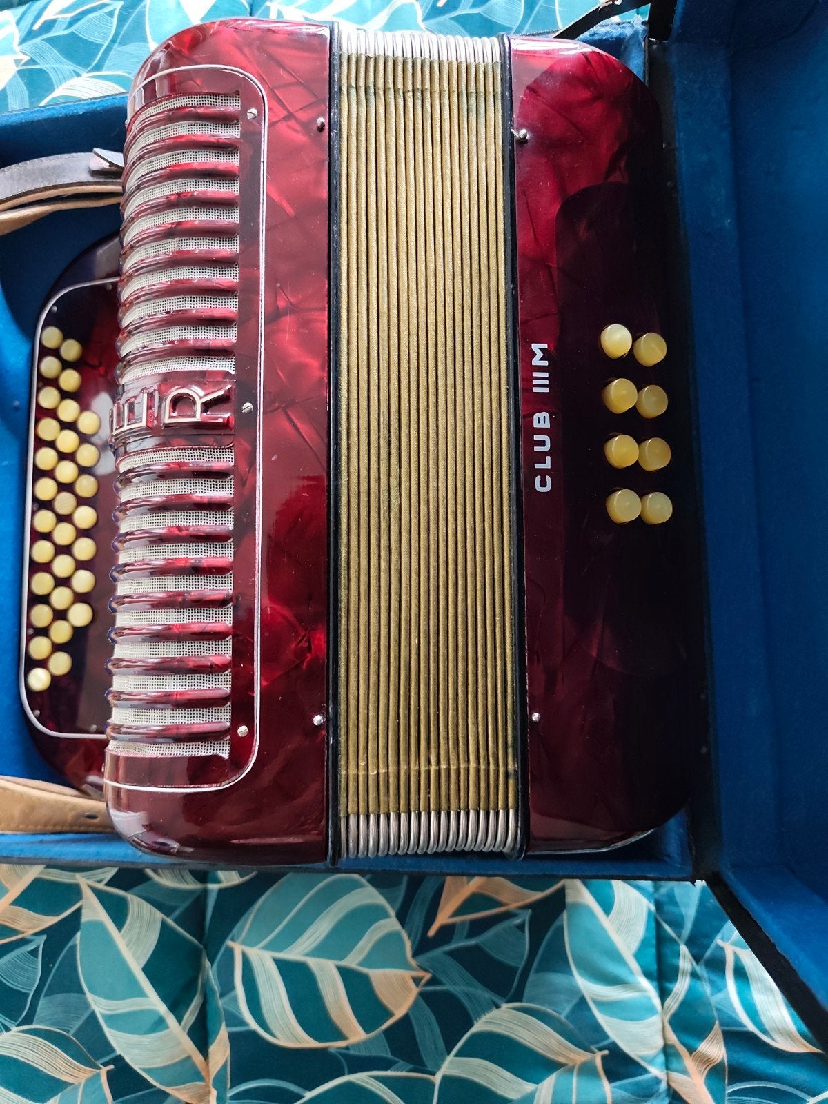 Horner club m 111, Muziek en Instrumenten, Zo goed als nieuw, Met koffer, Knopaccordeon, 120-bas