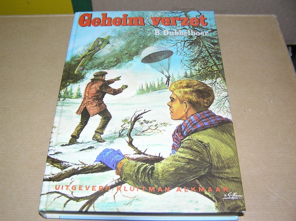 Geheim Verzet - Beene Dubbelboer, Boeken, Beene Dubbelboer, Ophalen of Verzenden, Zo goed als nieuw, Fictie