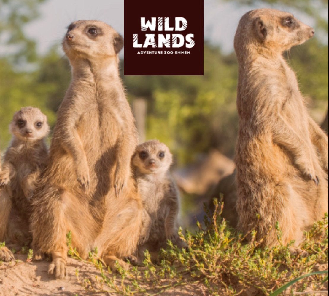 2x Wildlands Entree ticket, Drie personen of meer, Ticket of Toegangskaart