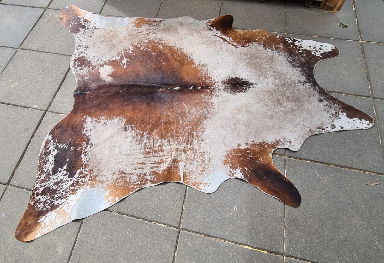 Prachtig gebruikt koeienvel - Bruin, wit en beige, Gebruikt, Beige, 150 tot 200 cm, 200 cm of meer