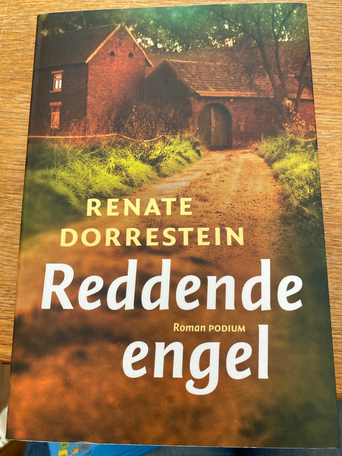 Reddende engel - Renate Dorrestein (Roman), Ophalen of Verzenden, Nieuw, Nederland