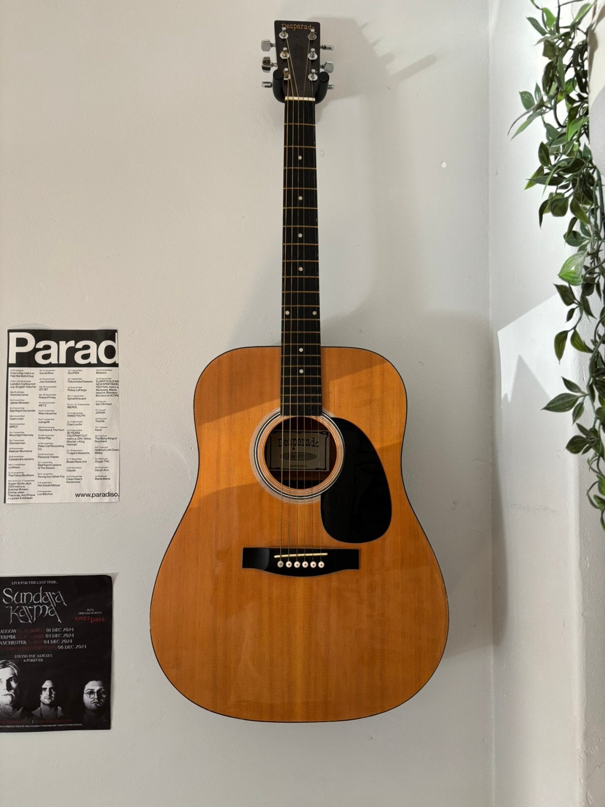 Akoestische Gitaar Desperado, Muziek en Instrumenten, Ophalen, Zo goed als nieuw, Western- of Steelstringgitaar