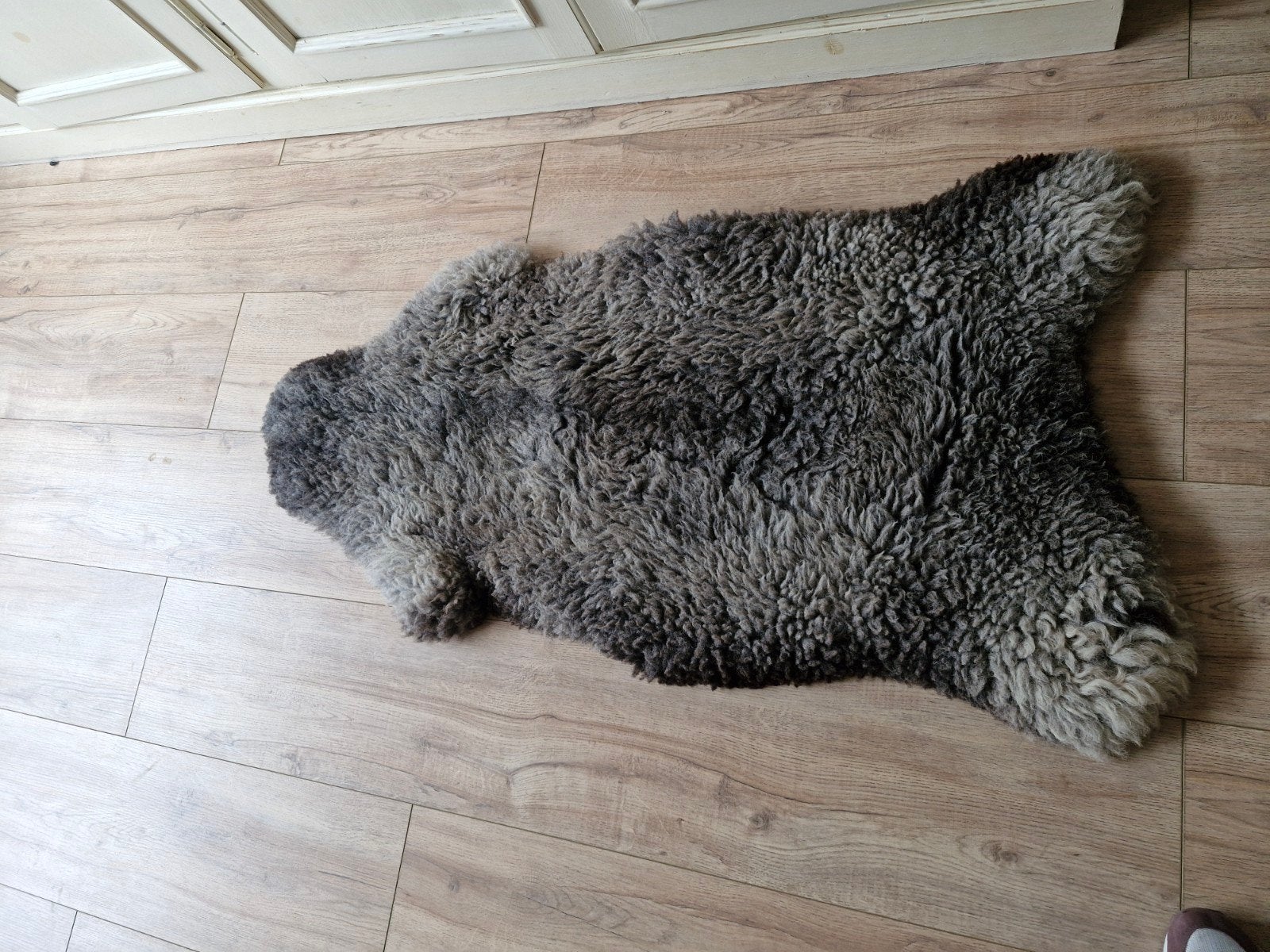 schapen vacht echt, Ophalen