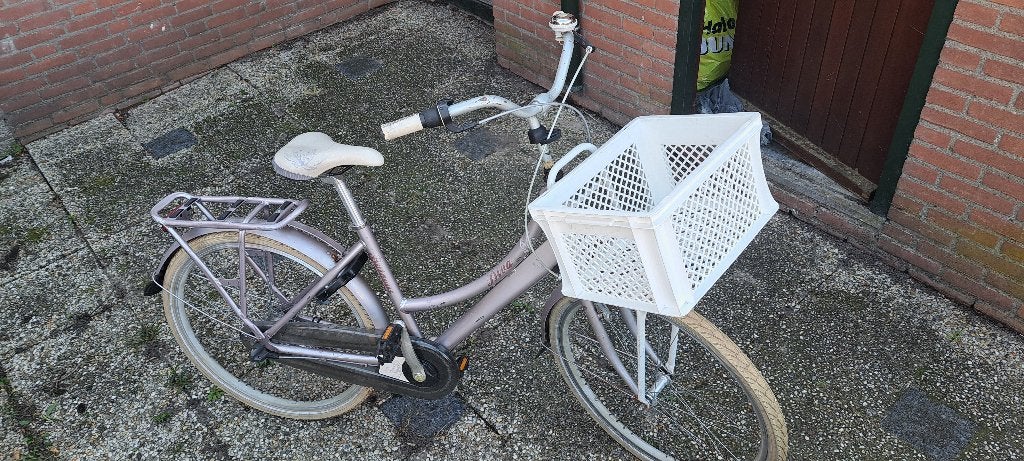 Stoere Batavus Diva meisjesfiets / transportfiets incl. krat, Fietsen en Brommers, Ophalen, Terugtraprem, Batavus, Handrem