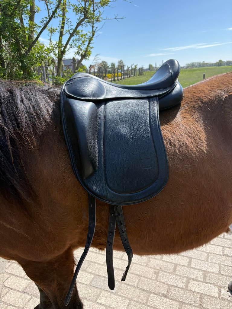 Eques black edition Ijslander zadel, Ophalen, Zo goed als nieuw, Dressuur
