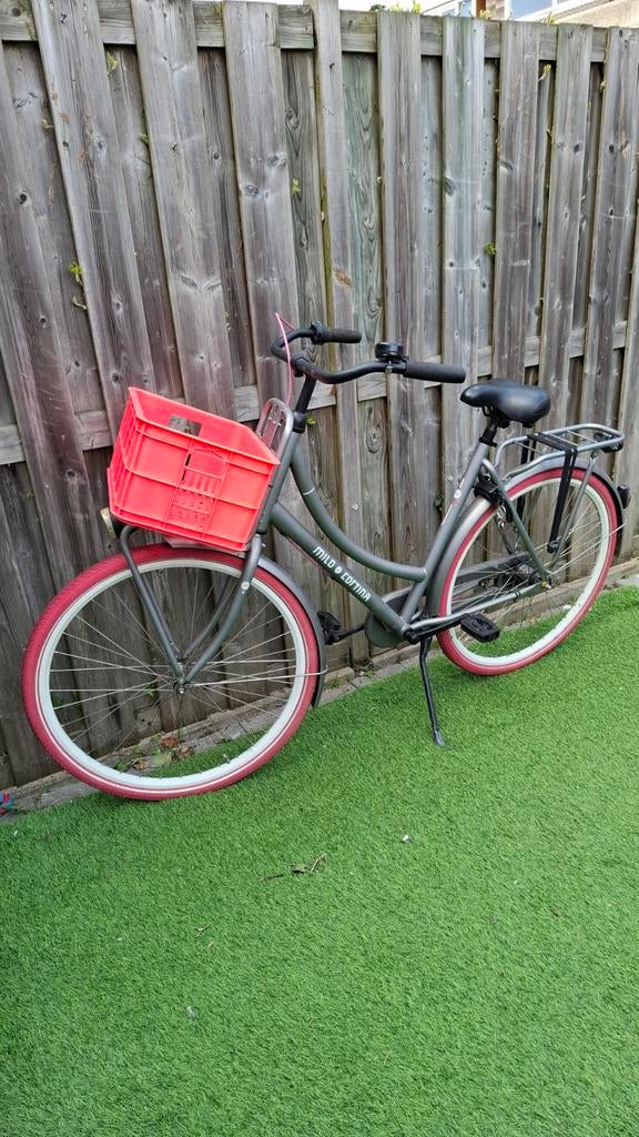 Cortina Milo dames fiets, Ophalen, Gebruikt, Versnellingen, 56 cm of meer