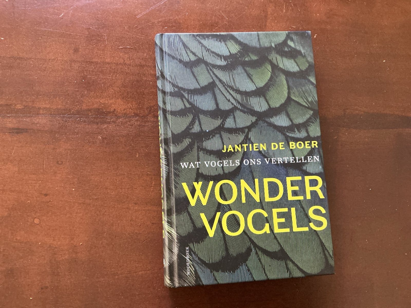 Wonder Vogels - Jantien de Boer (Zo goed als nieuw), Ophalen of Verzenden, Zo goed als nieuw, Vogels