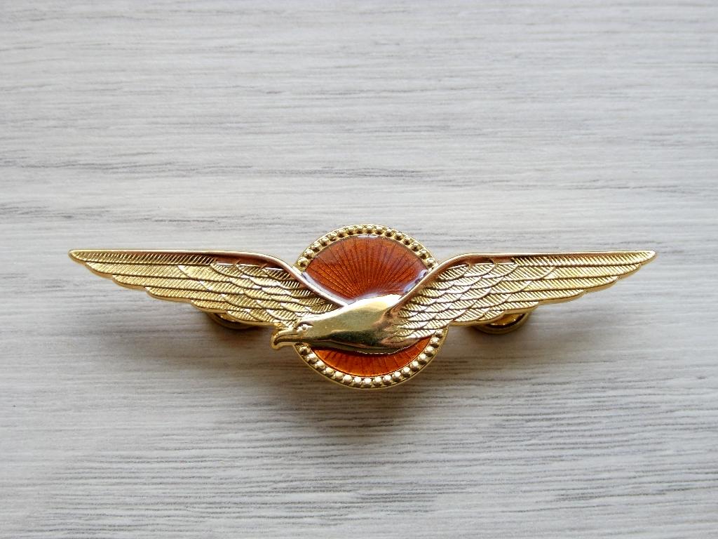 Metalen wing Vlieger Groot Militair Brevet, Verzenden, Luchtmacht, Nederland, Lintje, Medaille of Wings