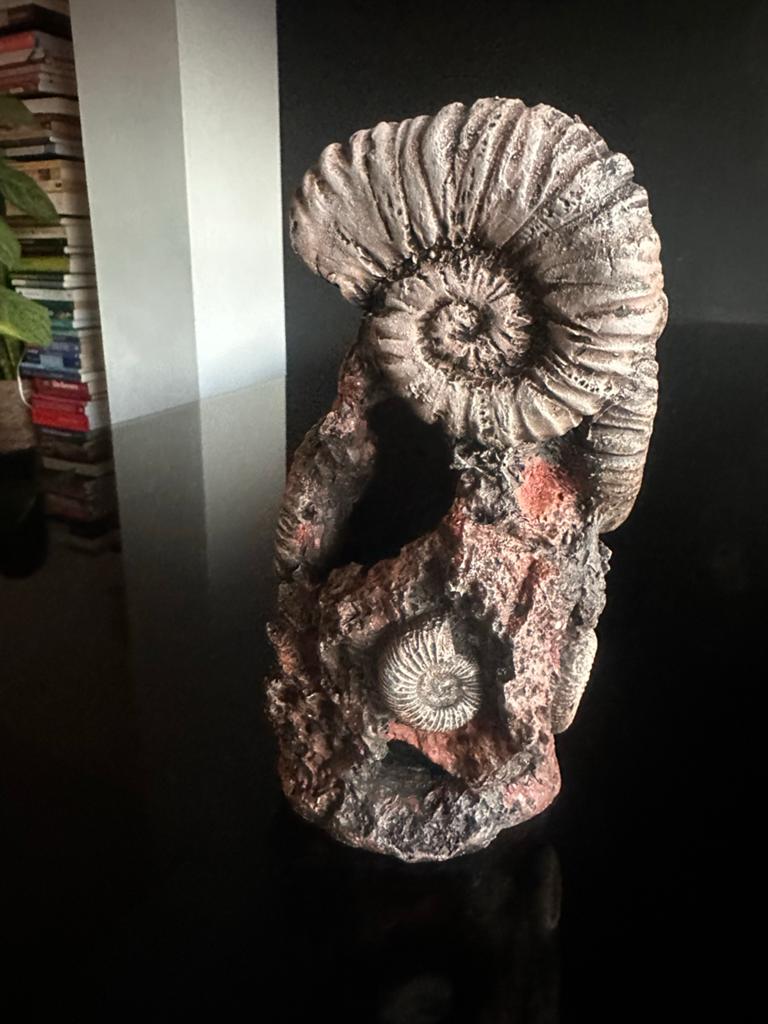 Biorb aquarium ornament, Dieren en Toebehoren, Vissen | Aquaria en Toebehoren, Ophalen, Gebruikt
