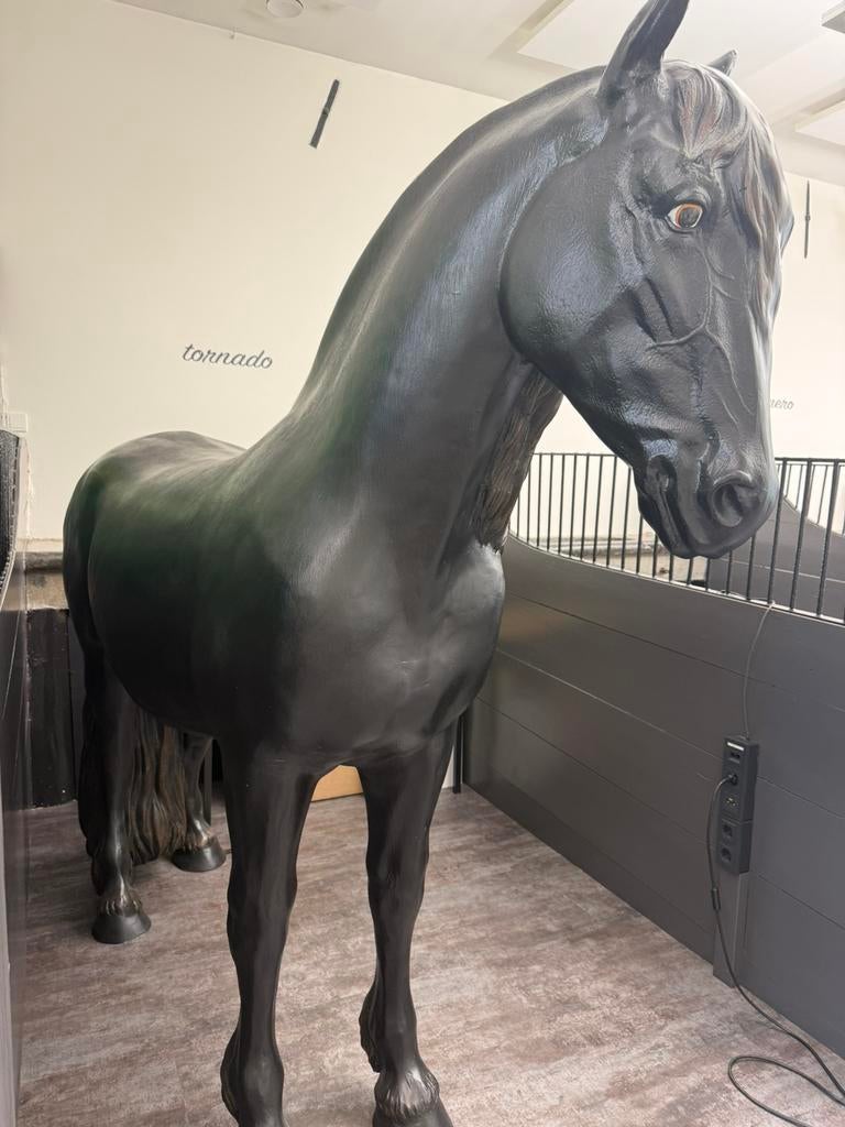 Prachtig paard van kunststof, Ophalen