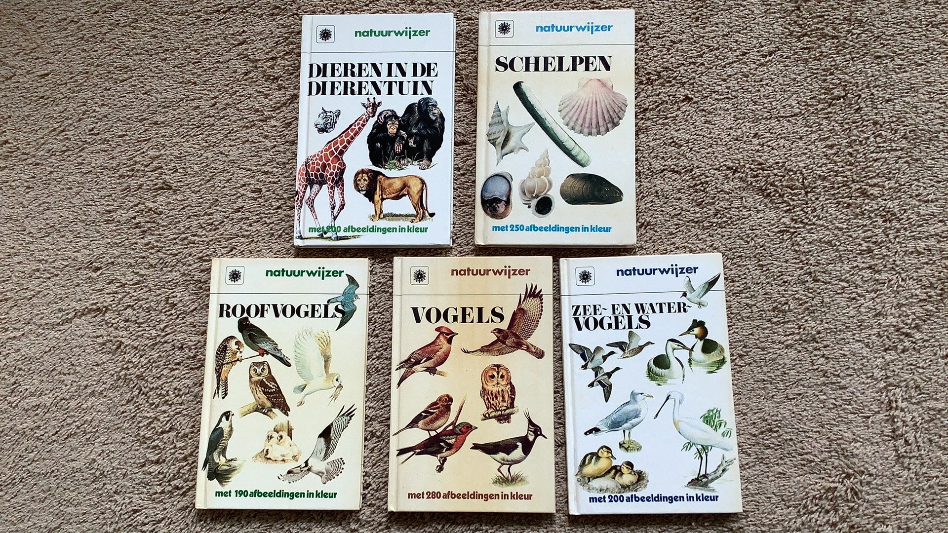 Natuurwijzer, 5x: Schelpen - Vogels - Dieren i/d dierentuin, Boeken, Natuur, Ophalen of Verzenden, Zo goed als nieuw, Natuur algemeen