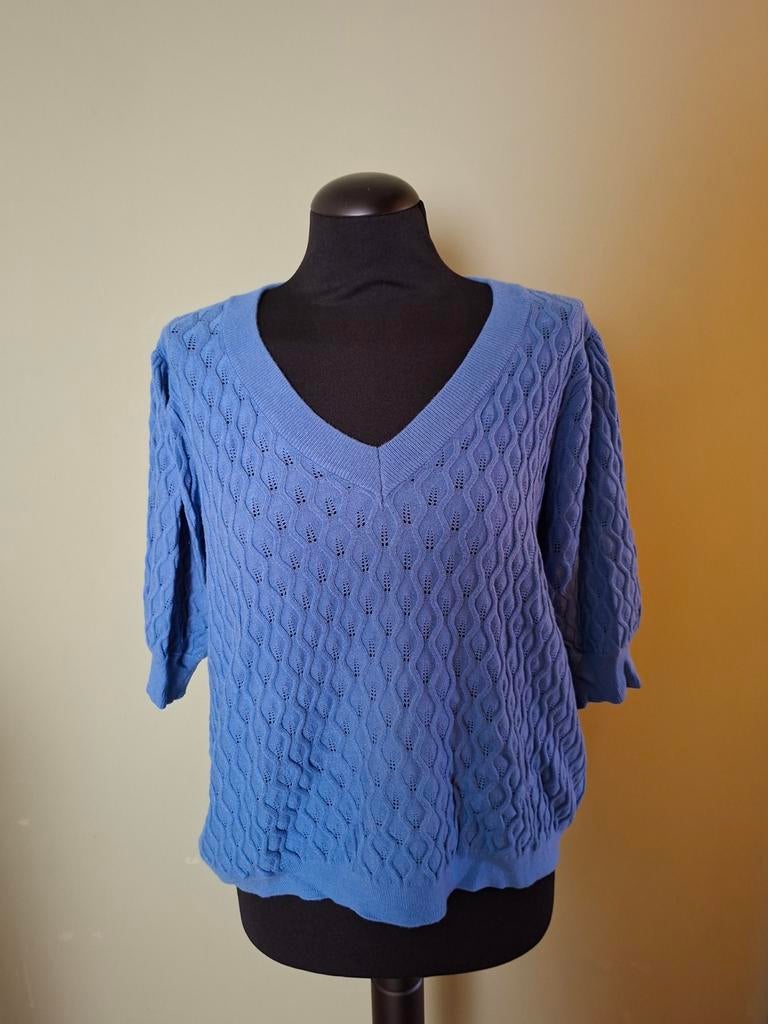 Blauw Peppercorn truitje maat xxl, Maat 46/48 (XL) of groter, Nieuw, Korte mouw, Peppercorn