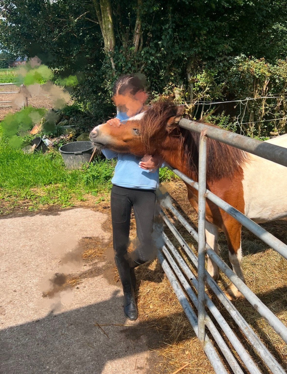 verzorg pony gezocht, verzorgster aangeboden, Ophalen, Zo goed als nieuw