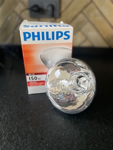 Warmtelamp/groeilamp Philips, Huis en Inrichting, Gloeilamp, 60 watt of meer, E27 (groot), Zo goed als nieuw